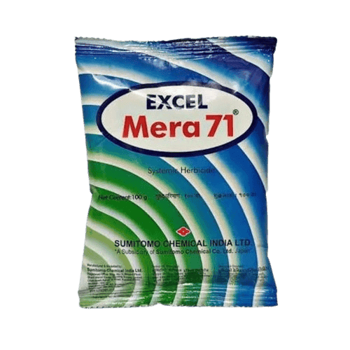 Excel Mera 71