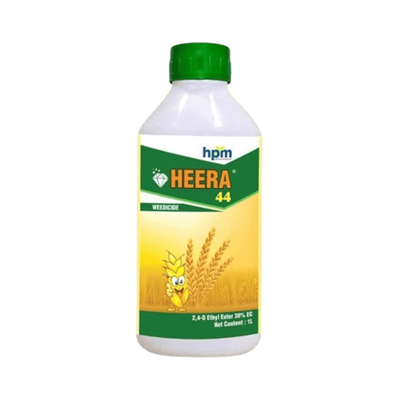 Heera -44