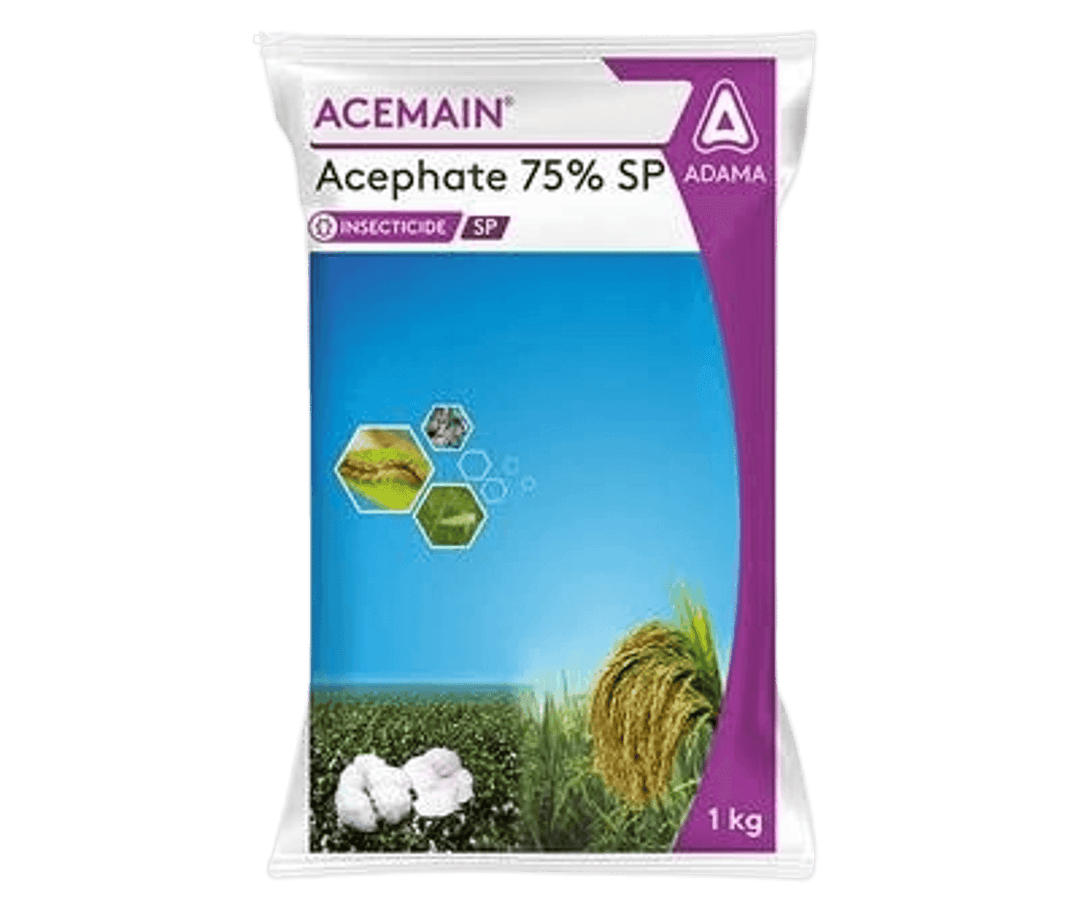ACEMAIN