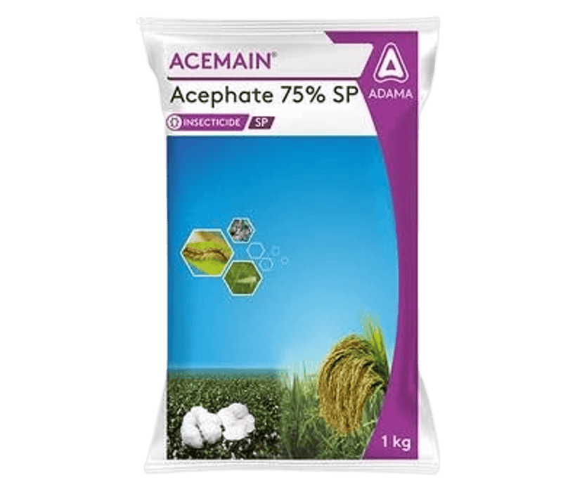 ACEMAIN
