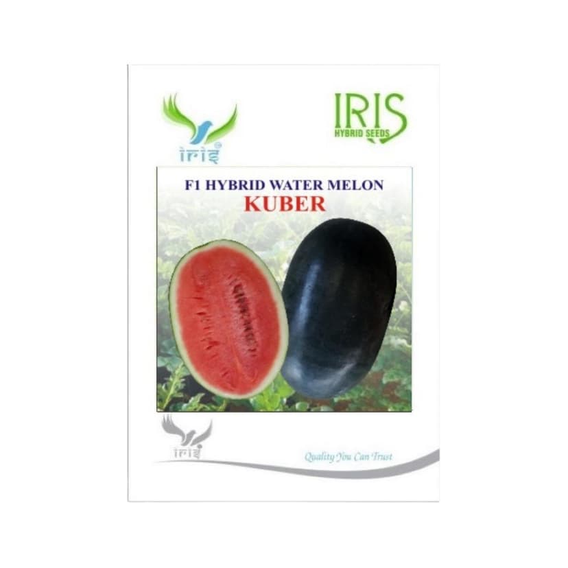 Hybrid Watermelon Kuber Fruit Seeds