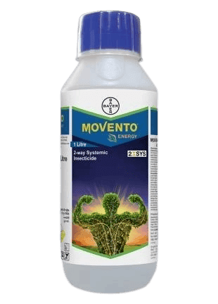 Movento Energy