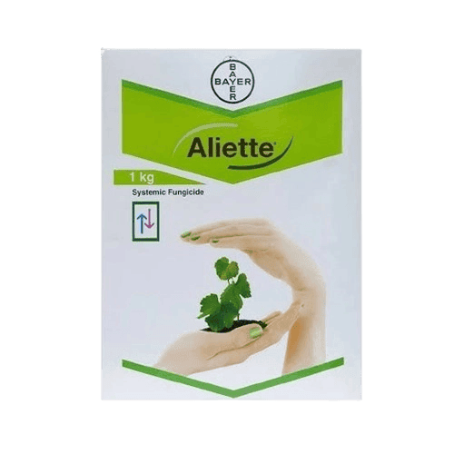 Aliette