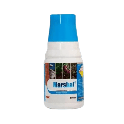 Marshal