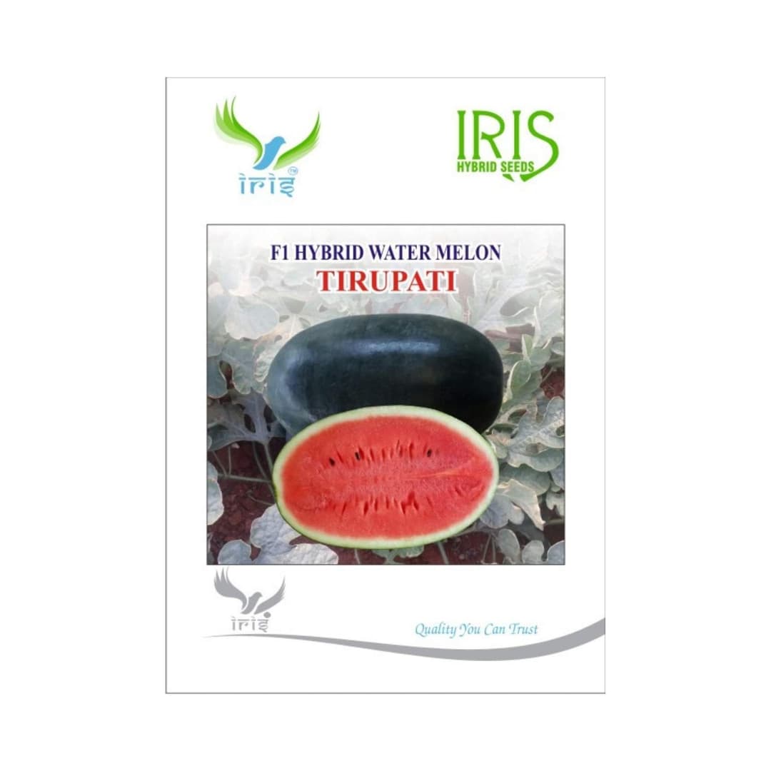 Hybrid Watermelon Tirupati Fruit Seeds