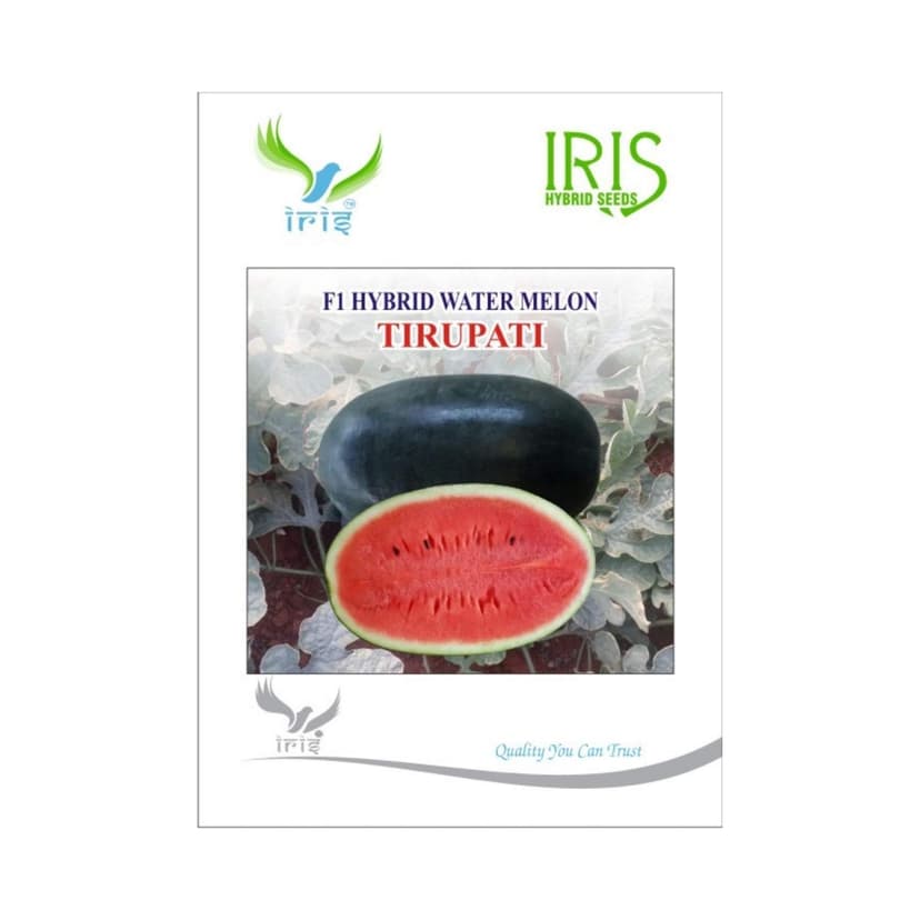 Hybrid Watermelon Tirupati Fruit Seeds