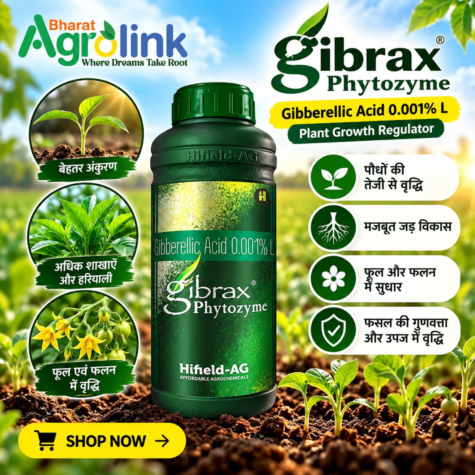 Hifield-AG promotion