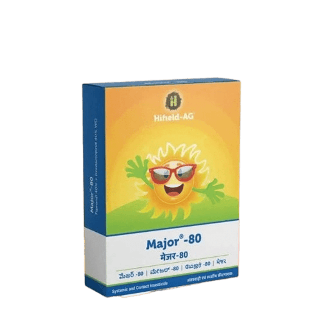 Major 80