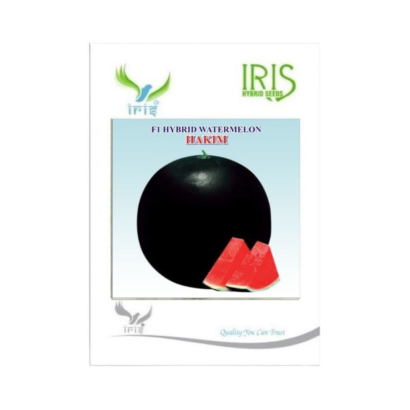 Hybrid Watermelon Hakim Fruit Seeds