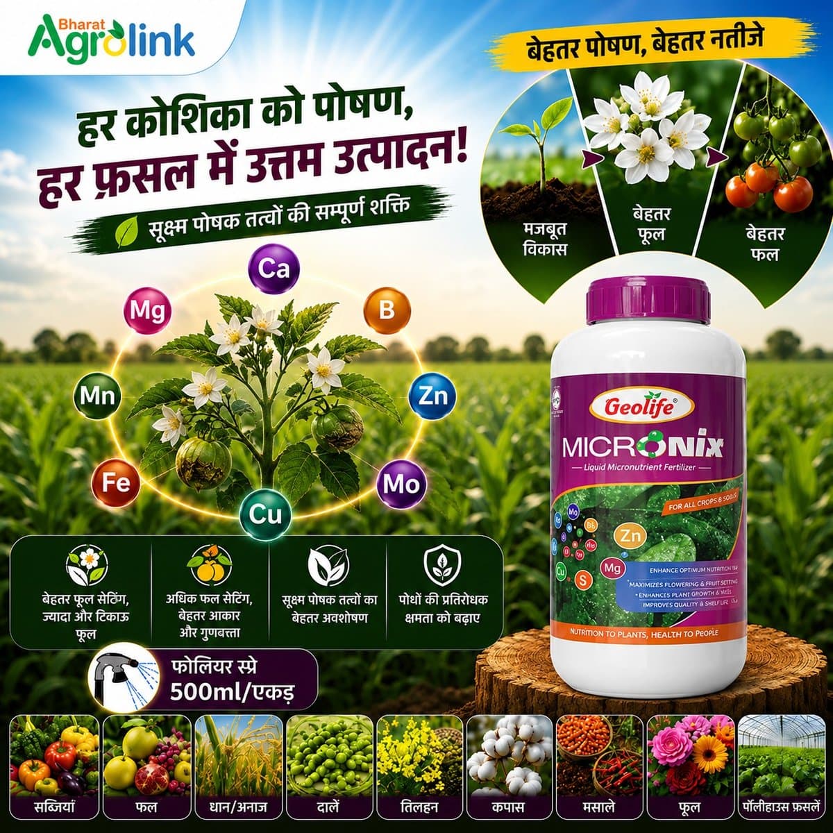 Geolife promotion