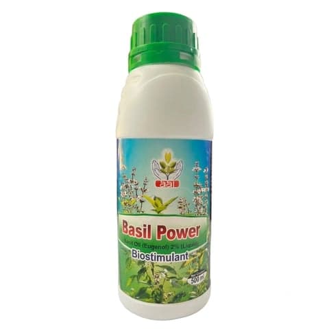 BASIL POWER