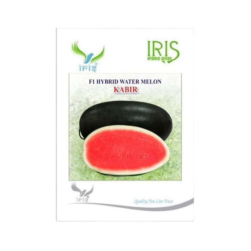 Hybrid Watermelon Kabir Fruit Seeds
