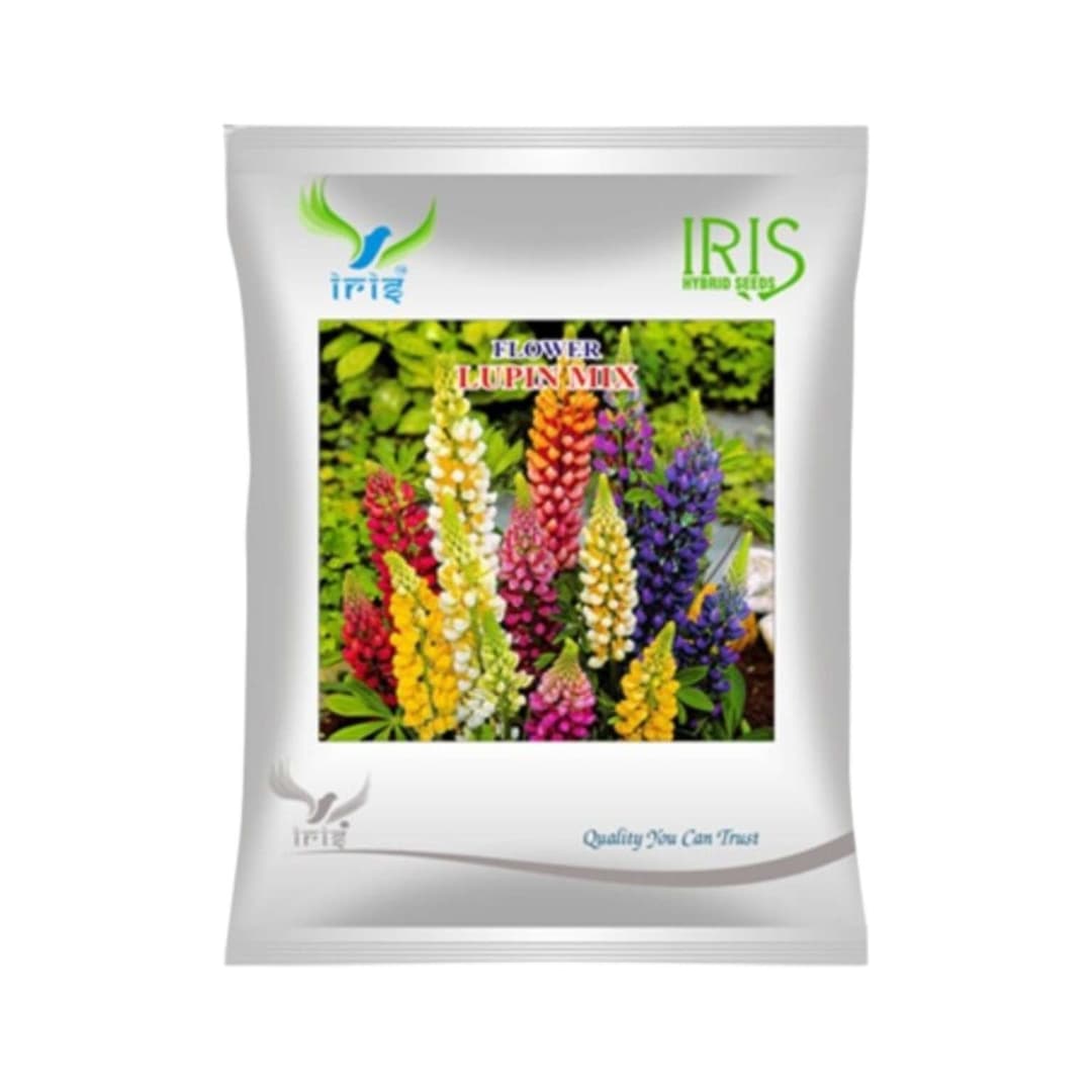 Hybrid Lupin Mix Flower Seeds (300 Seeds)