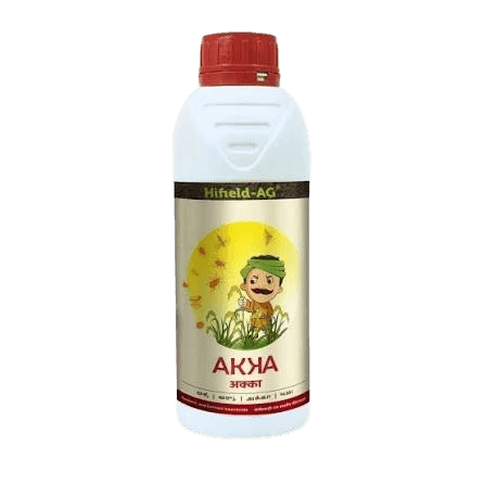 Akka