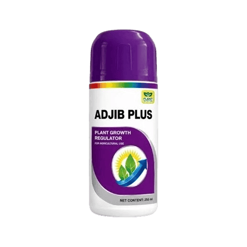 Adjib Plus