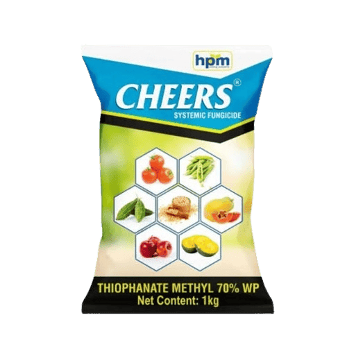 Cheers