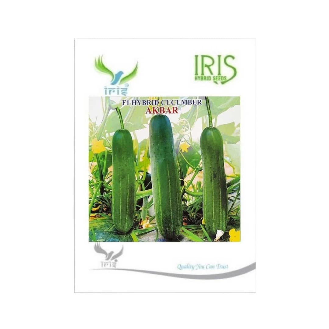 Hybrid Cucumber Akbar Vegetable Seeds