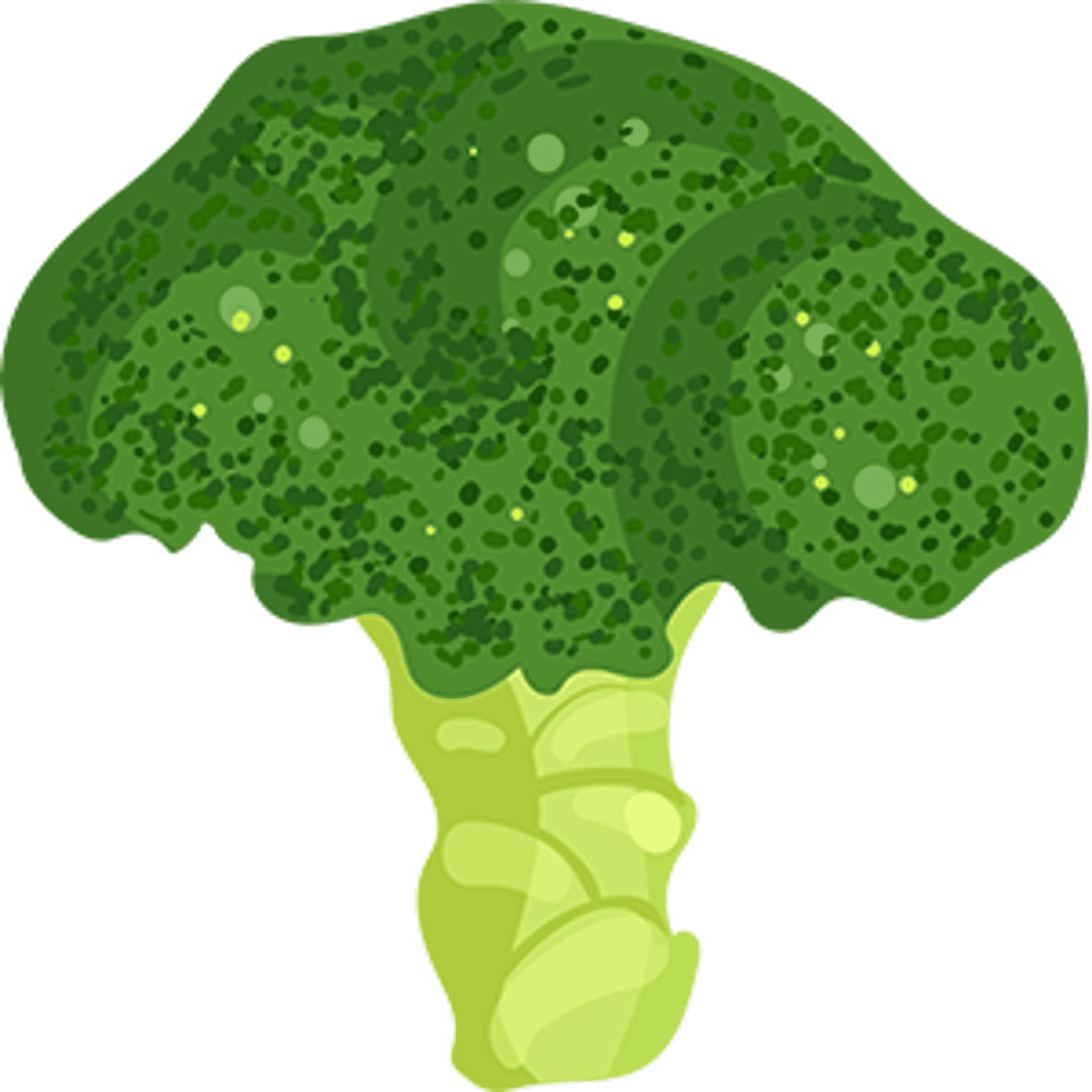 Broccoli