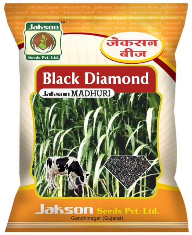 Black Diamond Madhuri Grass pack