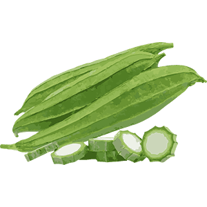 Ridge Gourd