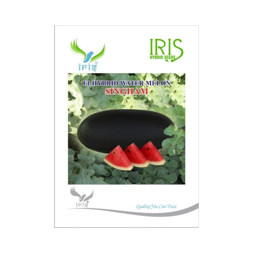 Hybrid Watermelon Singham Fruit Seeds