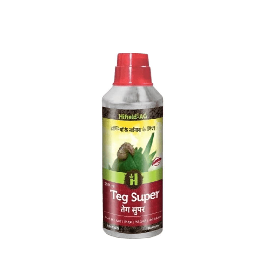 Teg Super
