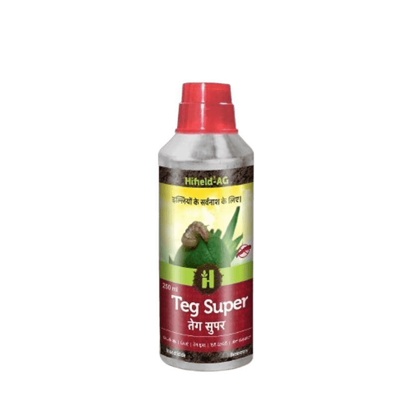 Teg Super