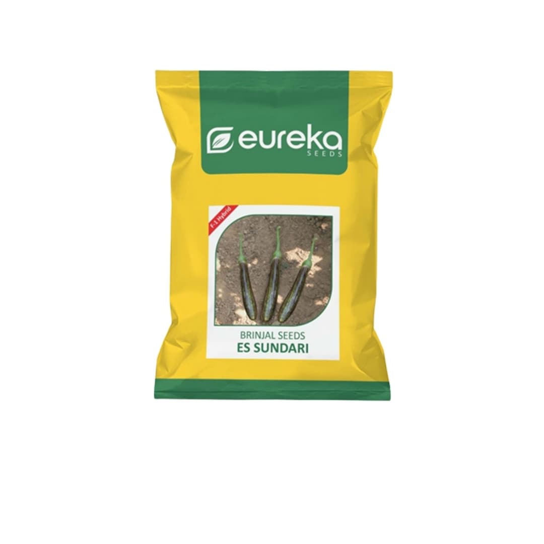 Brinjal ES Sundari F1 Hybrid Vegetable Seeds