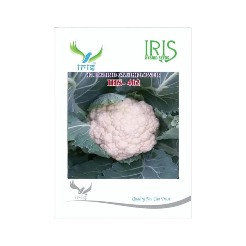 Hybrid Cauliflower IHS 402 Vegetable Seeds