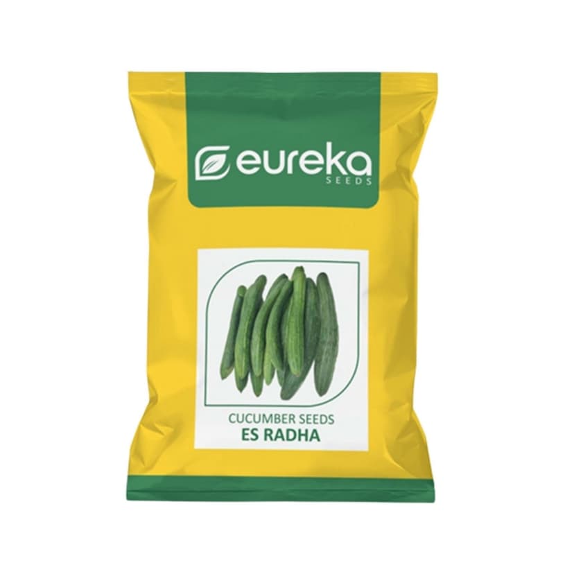 Cucumber ES Radha Vegetable Seeds