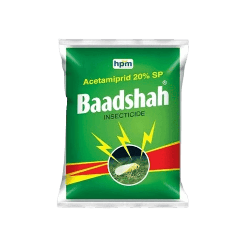 Baadshah