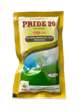PRIDE 20