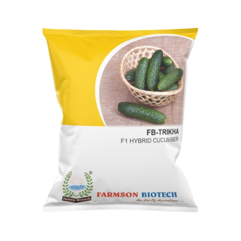 TRIKHA F1 Hybrid Cucumber Gherkin Seeds 25 gm