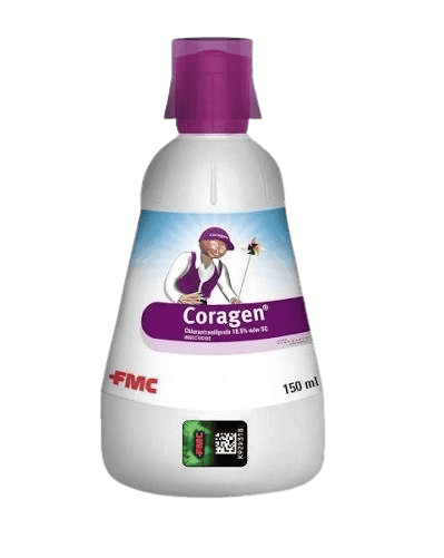 Coragen