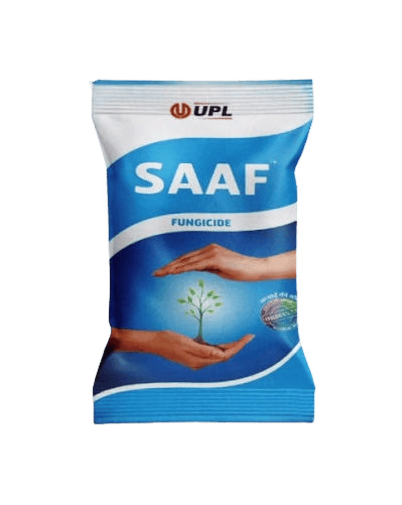 Saaf