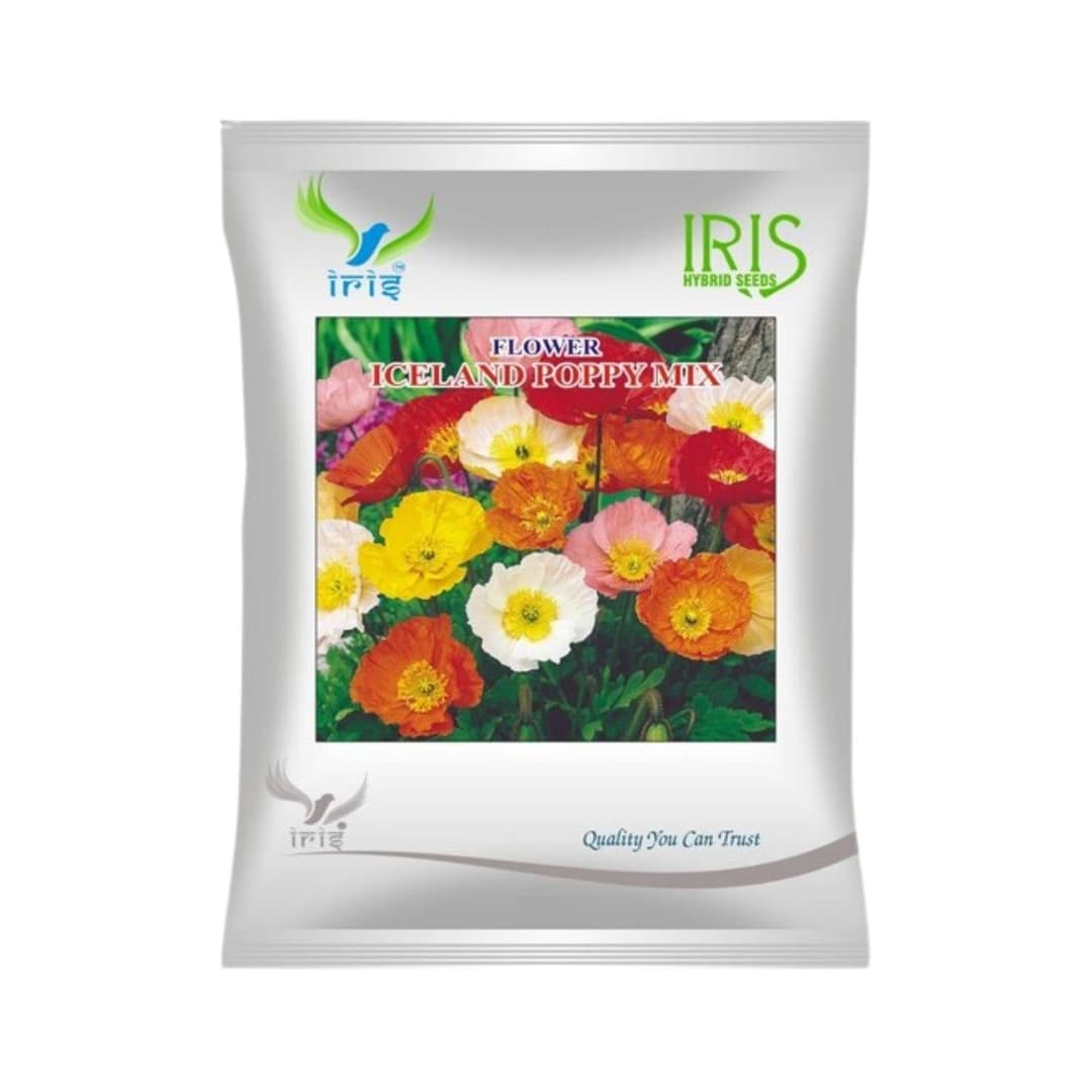 Hybrid Poppy Iceland Mix Flower Seeds