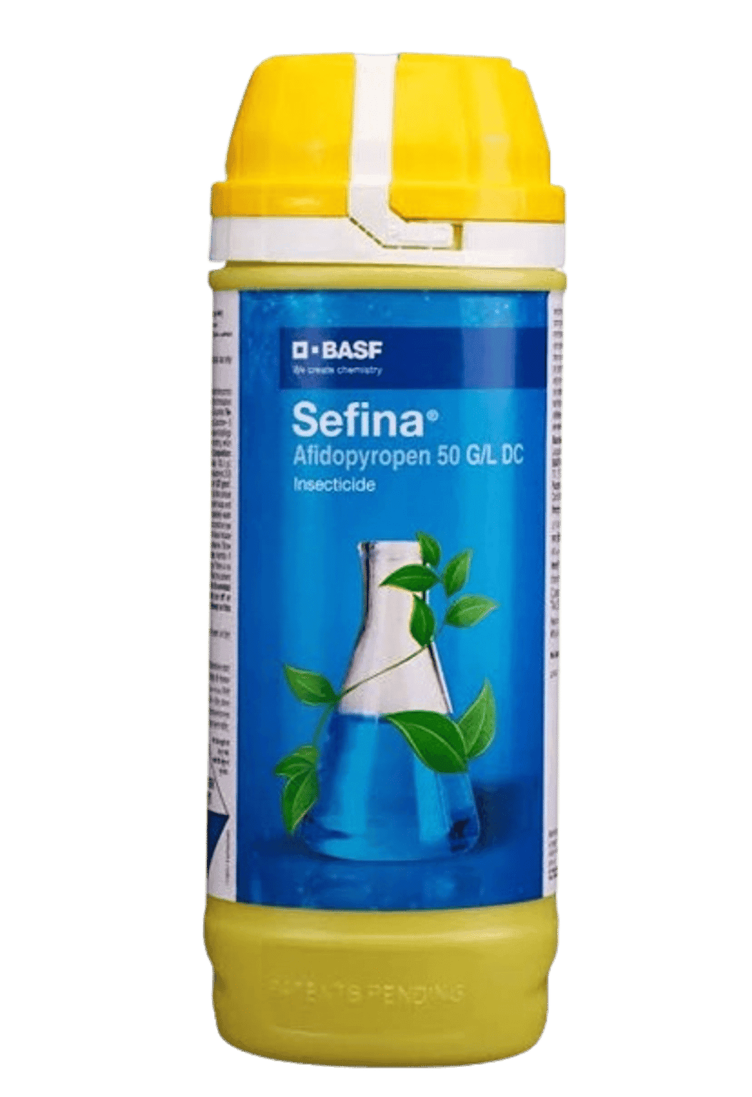 Sefina