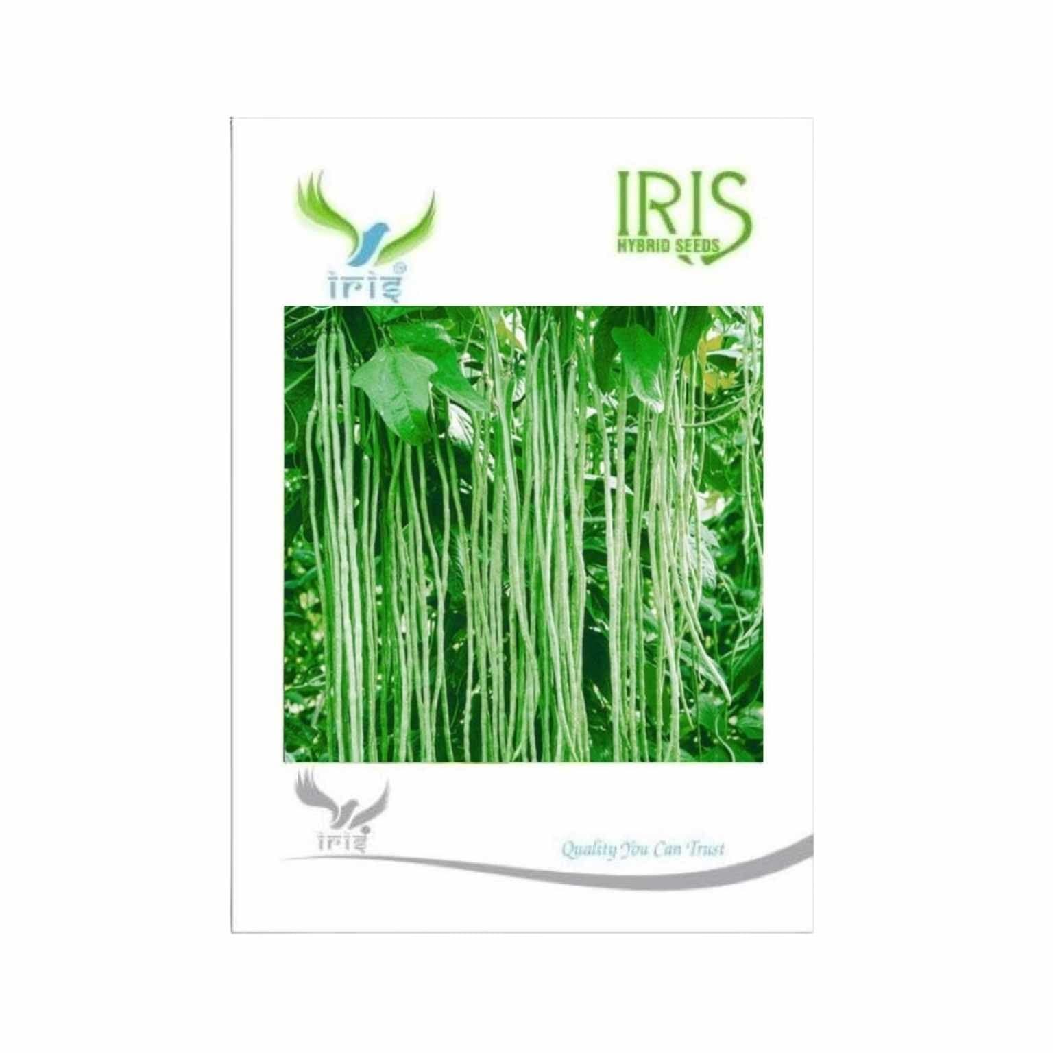 Hybrid Yard long Beans Vegetable Seeds