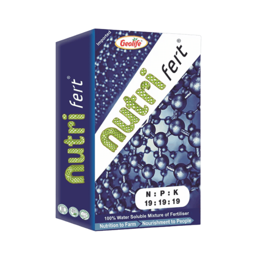 Nutrifert 19:19:19 NPK Water Soluble Fertilizer
