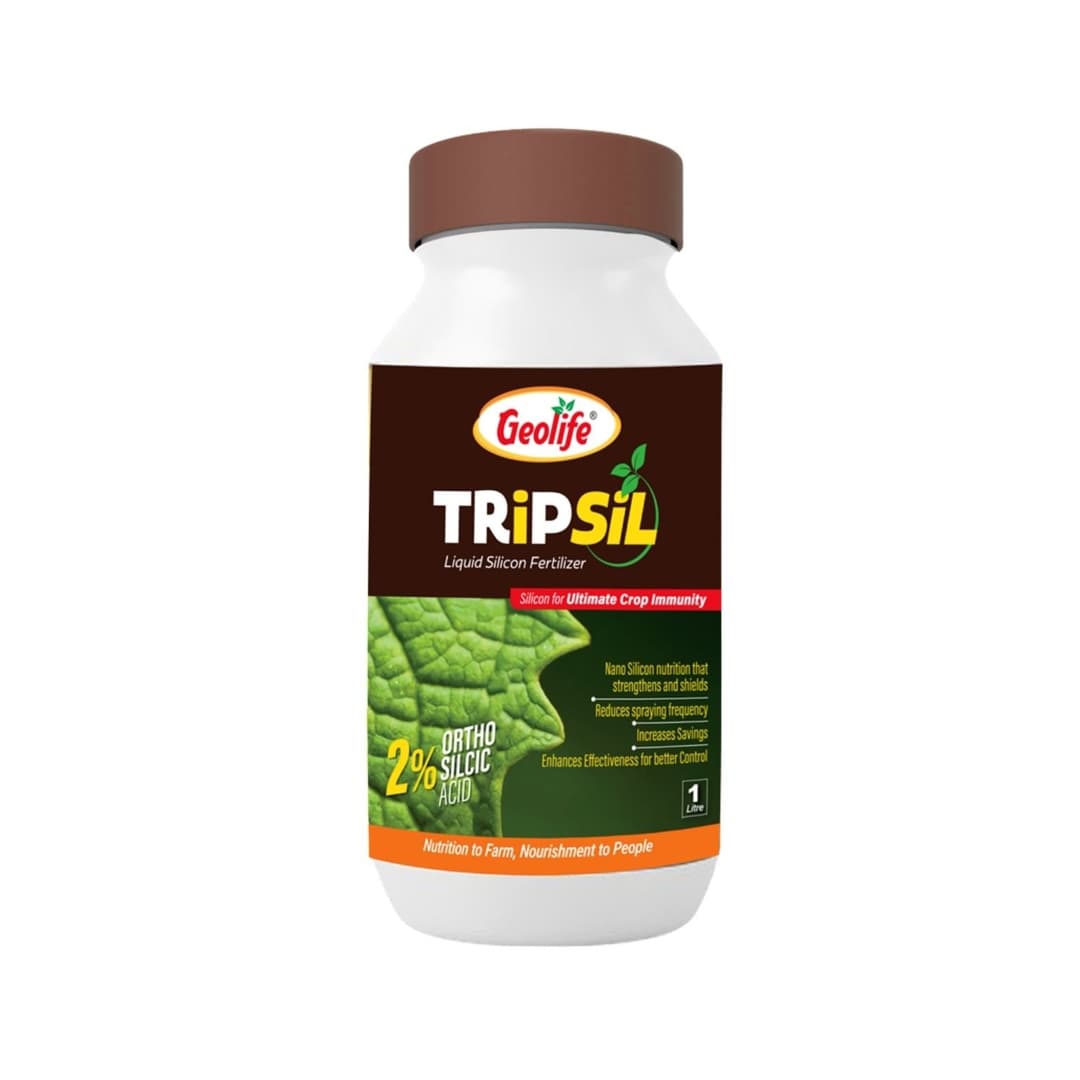 Tripsil Stabilized Silicic Acid Plant Immunity Enhancer