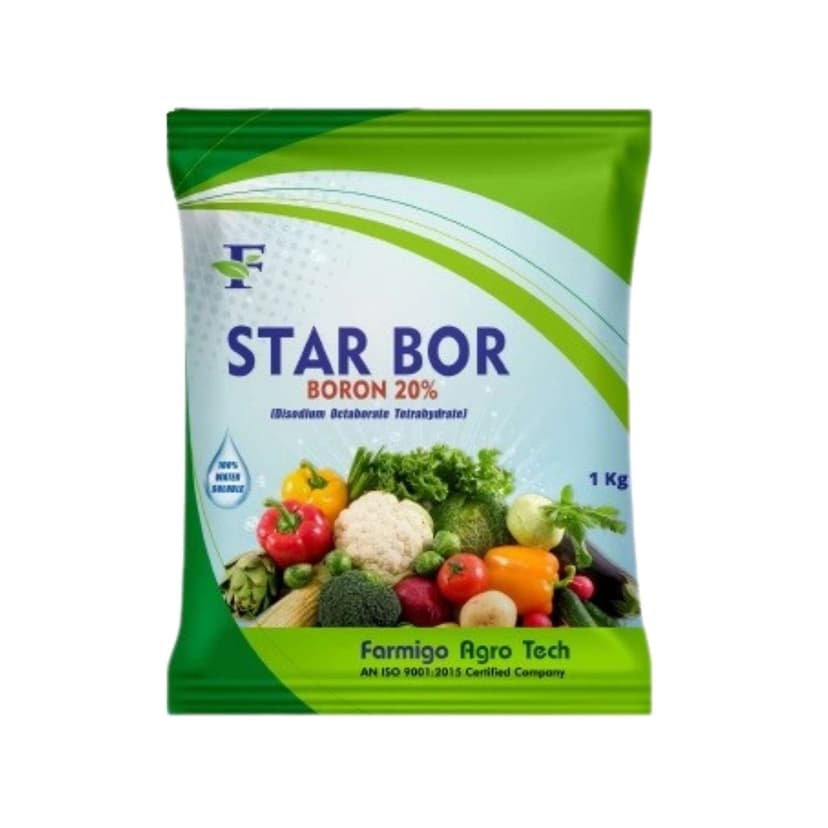 Star Bor
