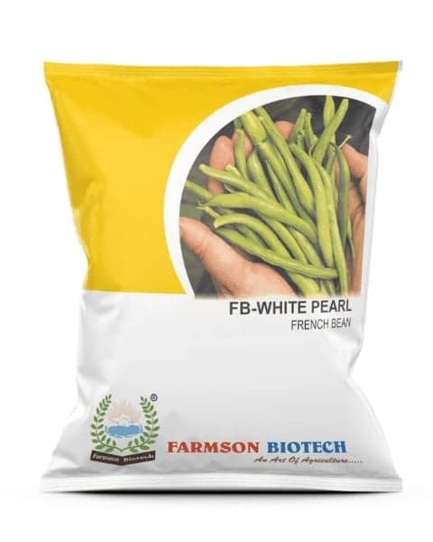 FRENCHBEAN  FB-WHITE PEARL