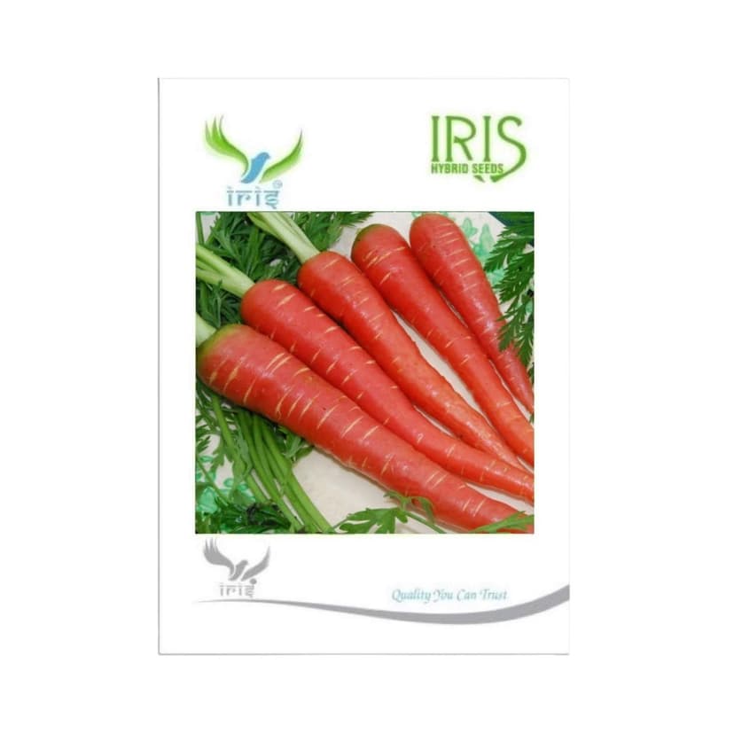 Hybrid Carrot Vegetable Seeds