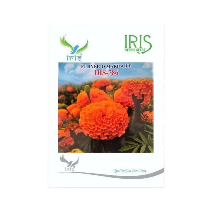 Hybrid Marigold Orange IHS 786 Flower Seeds