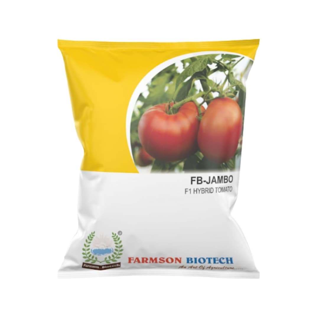 JAMBO F1 Hybrid Tomato Seeds