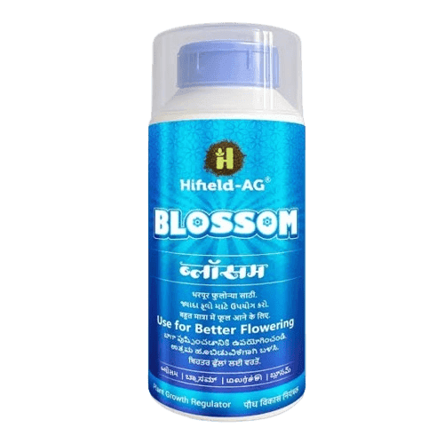 Blossom