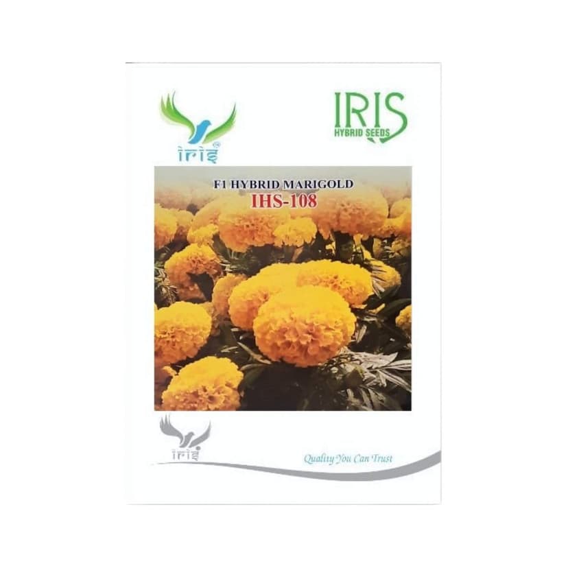 Hybrid Marigold Yellow IHS 108 Flower Seeds
