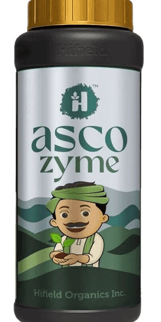 Asco Zyme