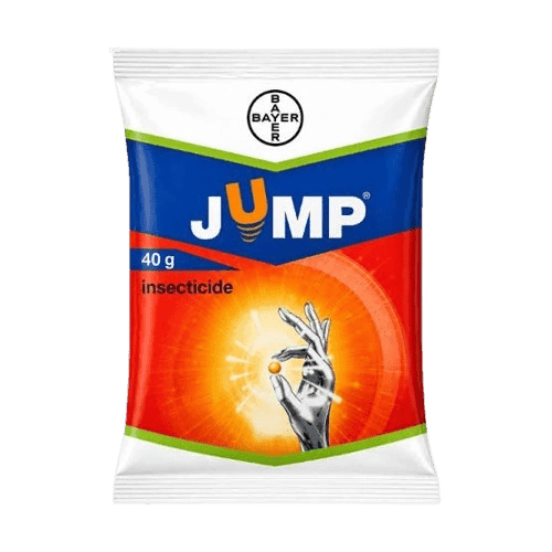 Jump