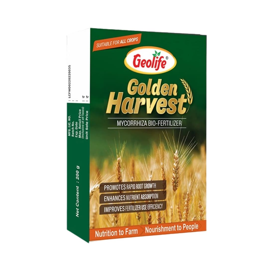 Golden Harvest